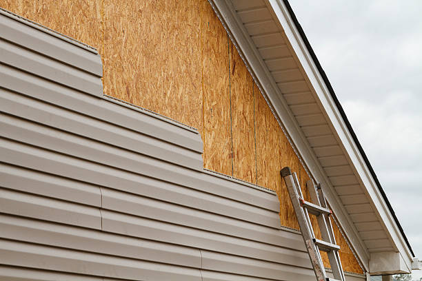 Professional Siding Inspection technician working in Rosman, NC